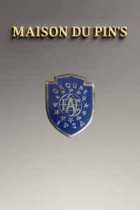 Pin's Groupe IPSA IAC